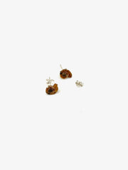 Zöe Ammonite Fossil Studs - Stone Cooper