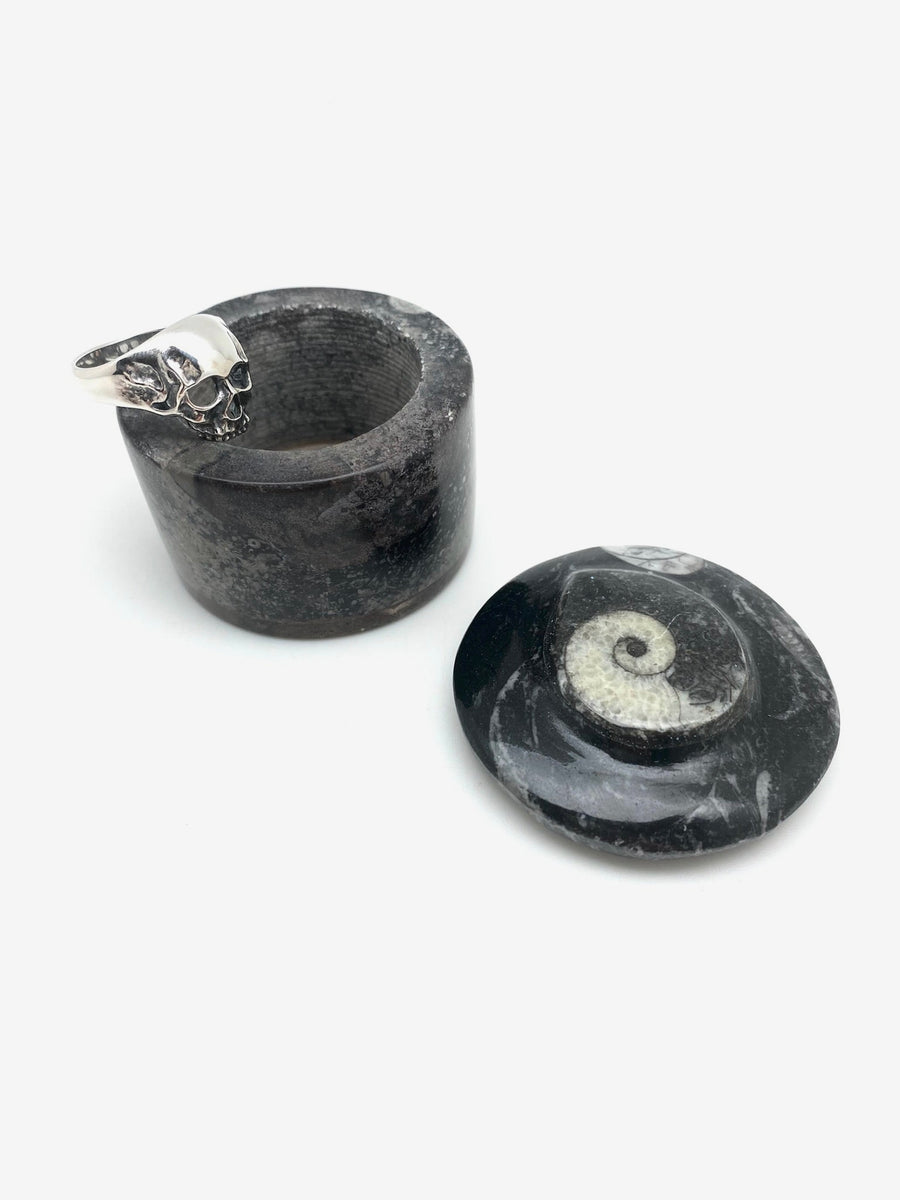 Mini Fossil Box - Stone Cooper