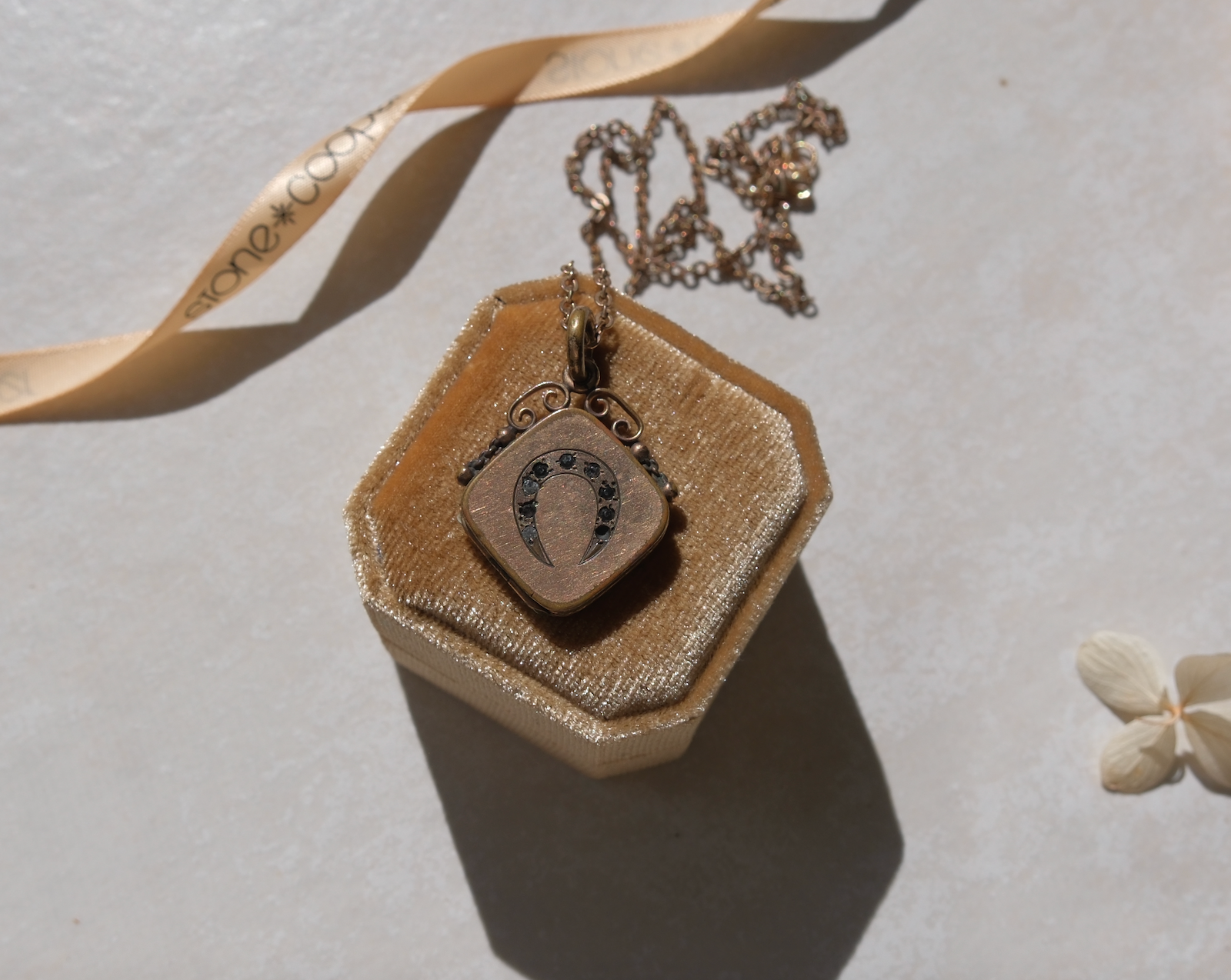 Agatha Horseshoe Gold-Filled Locket Fob Necklace - Stone Cooper