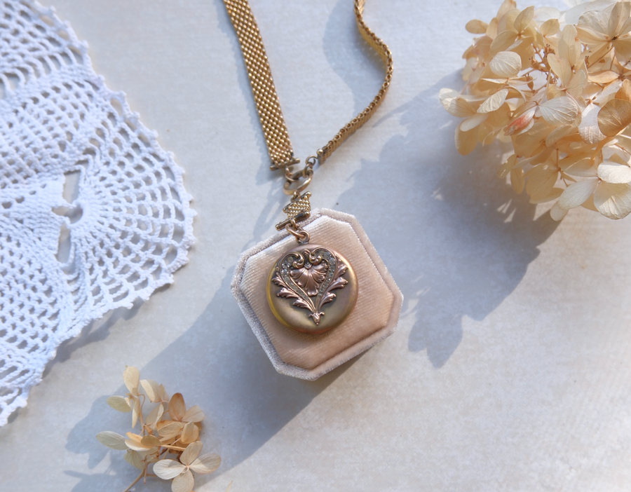 Honey Crystal Locket, Mesh Gold-Filled Chain - Stone Cooper