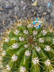 Cacti Fever Ring